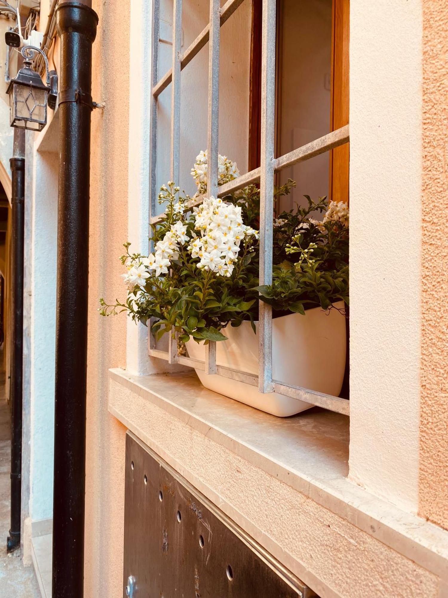 Casabella Chioggia Casa Indipendente Con Corte Εξωτερικό φωτογραφία